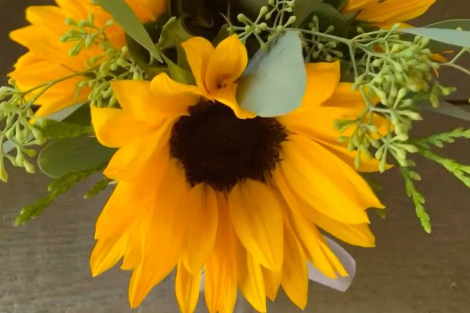 Sunflower close-up