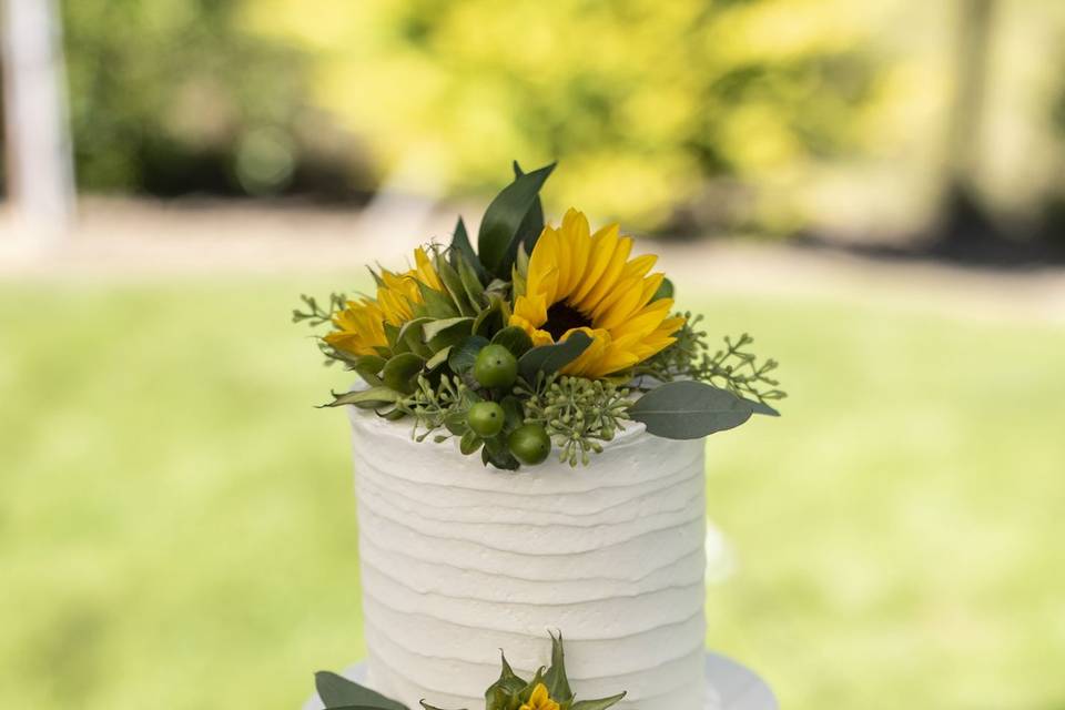 A ray of sunflower cake