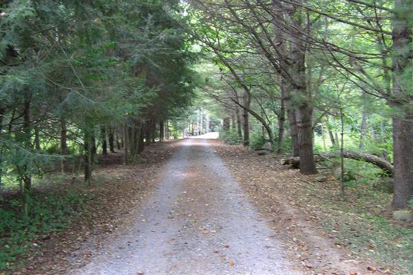 The Driveway to The Lodge