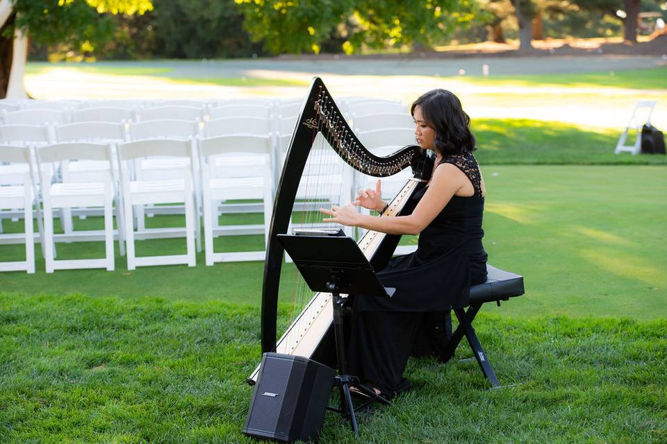 Harpist