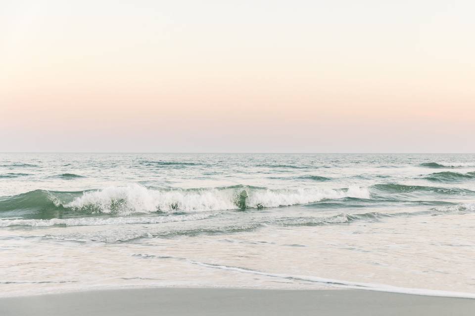 Sarah Anne Photography