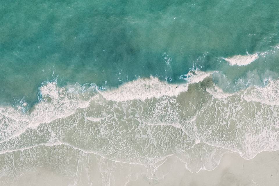 Sarah Anne Photography