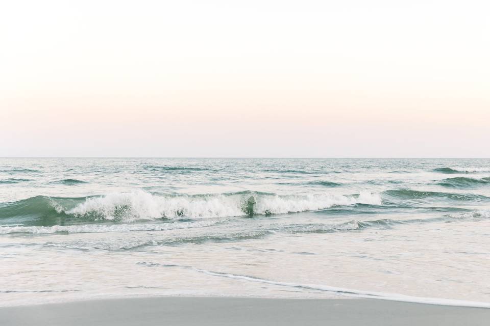 Sarah Anne Photography
