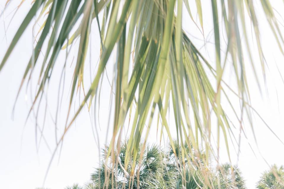 Sarah Anne Photography