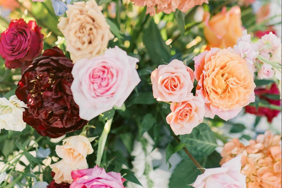 Sarah Anne Photography