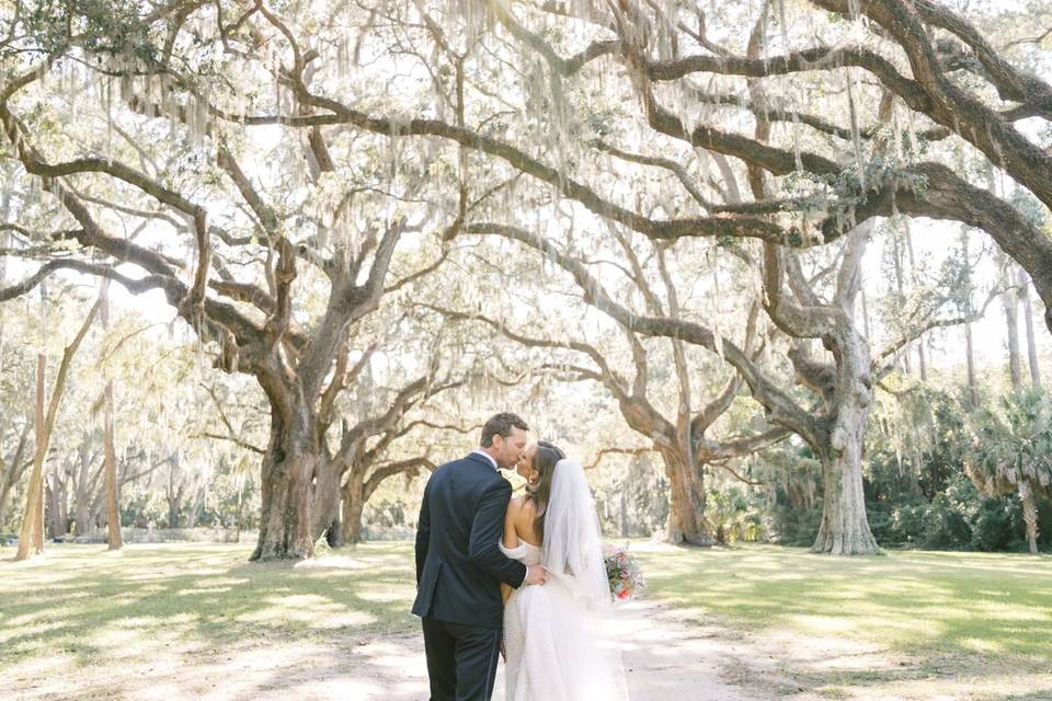 Sarah Anne Photography