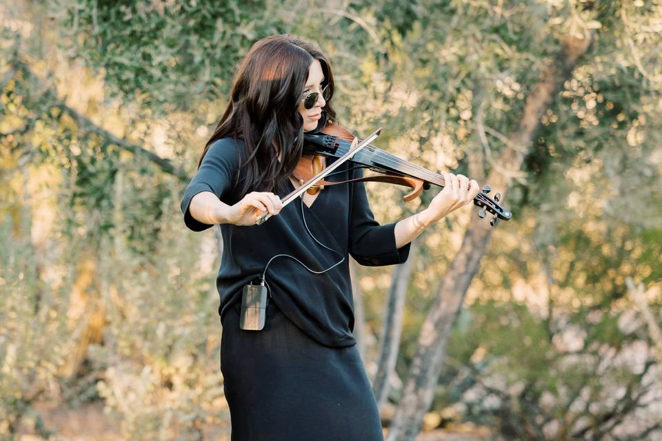 Wedding Violin