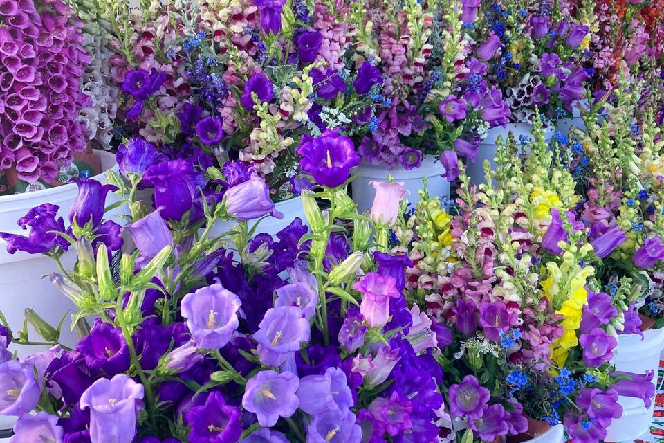 Spring market bouquets