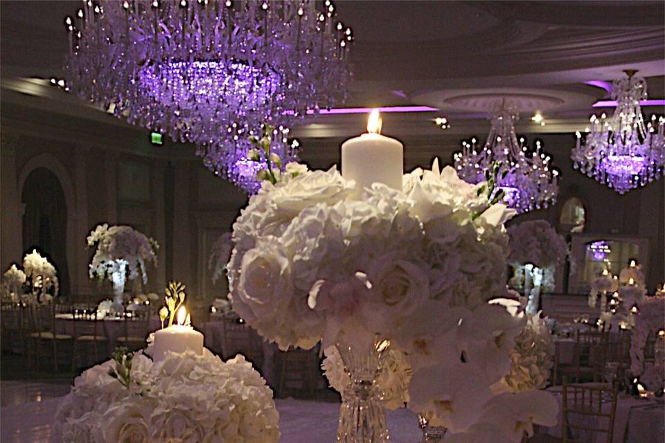 AMARYLLIS EVENT DECOR