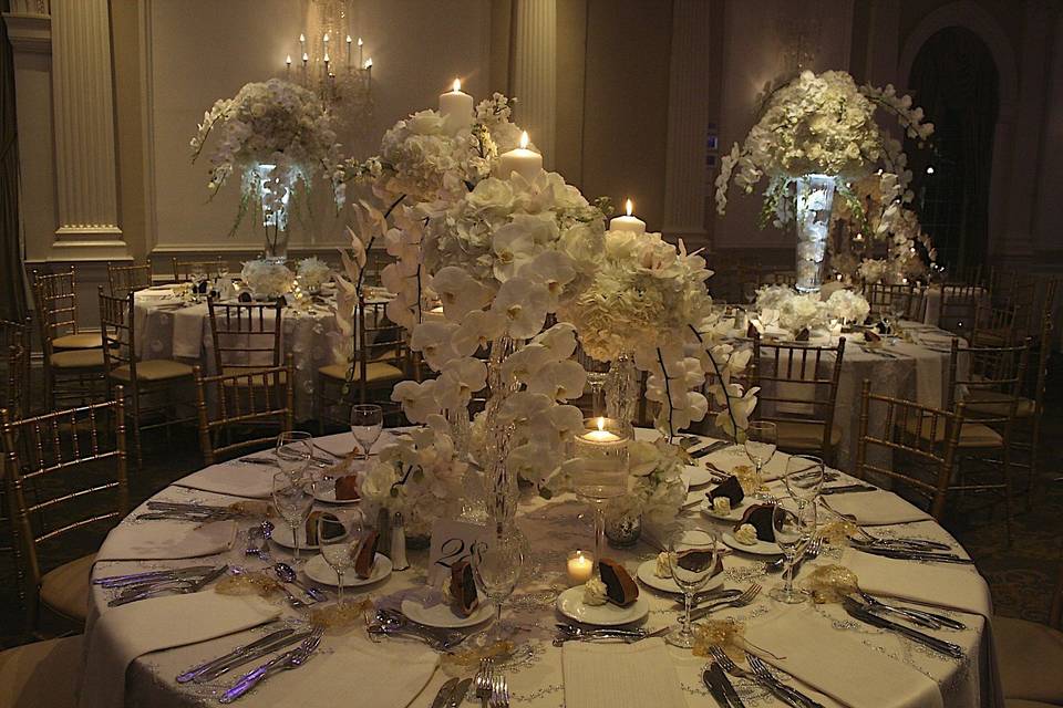 AMARYLLIS EVENT DECOR