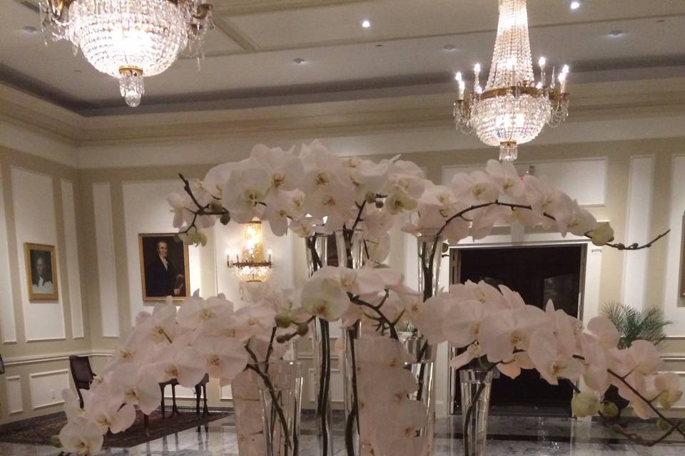 AMARYLLIS EVENT DECOR