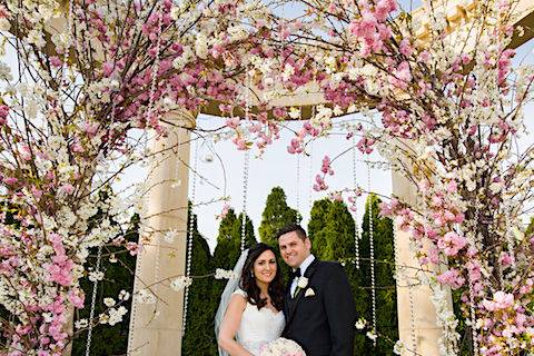 AMARYLLIS EVENT DECOR