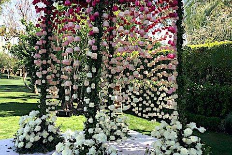 AMARYLLIS EVENT DECOR