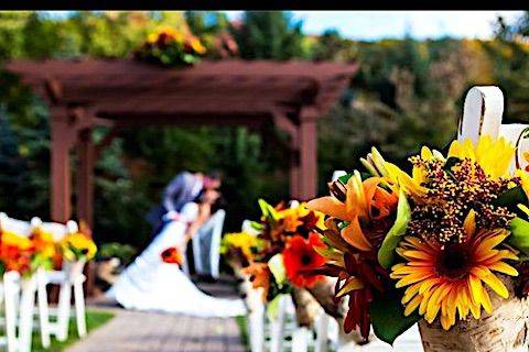 AMARYLLIS EVENT DECOR