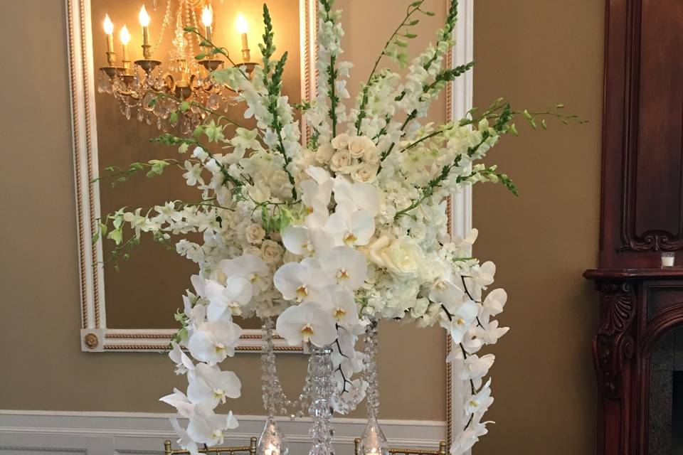 AMARYLLIS EVENT DECOR