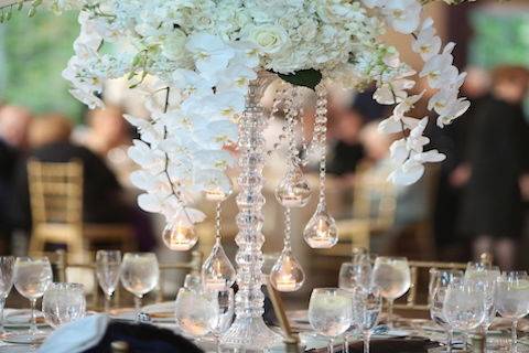 AMARYLLIS EVENT DECOR