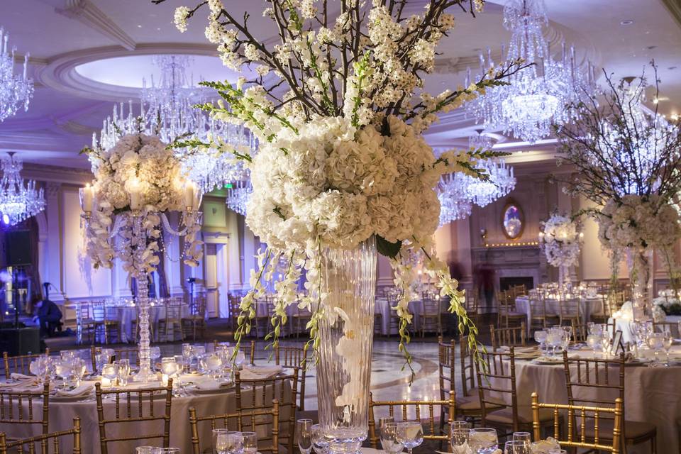 AMARYLLIS EVENT DECOR