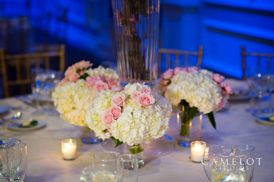 AMARYLLIS EVENT DECOR