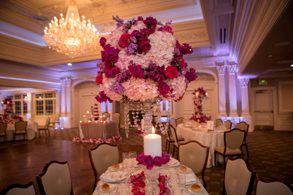 AMARYLLIS EVENT DECOR