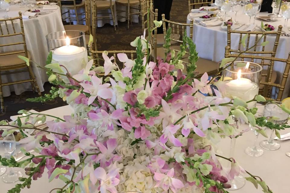 AMARYLLIS EVENT DECOR