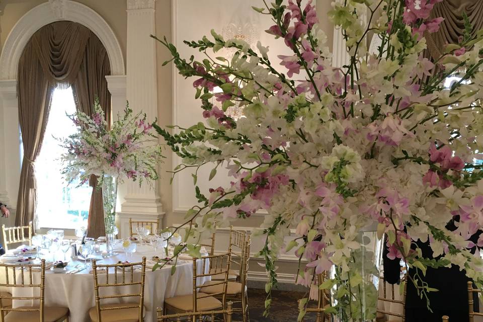 AMARYLLIS EVENT DECOR