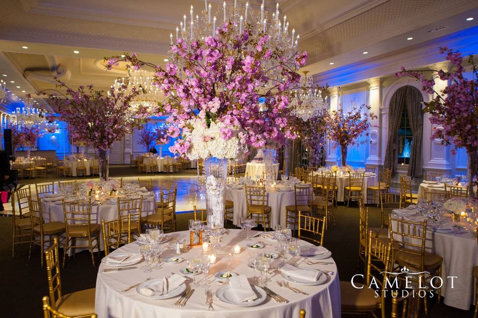 AMARYLLIS EVENT DECOR