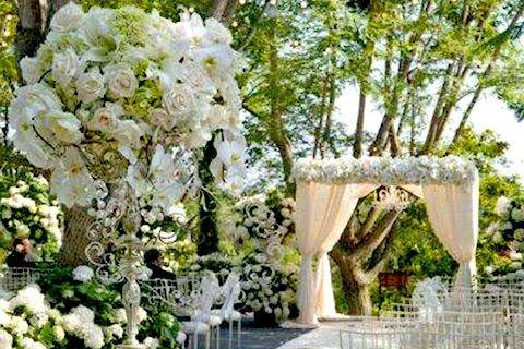 AMARYLLIS EVENT DECOR