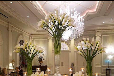 AMARYLLIS EVENT DECOR