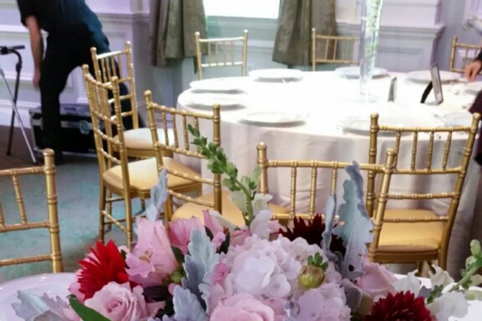 AMARYLLIS EVENT DECOR