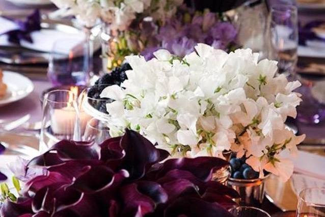 AMARYLLIS EVENT DECOR