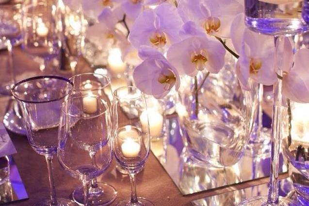 AMARYLLIS EVENT DECOR