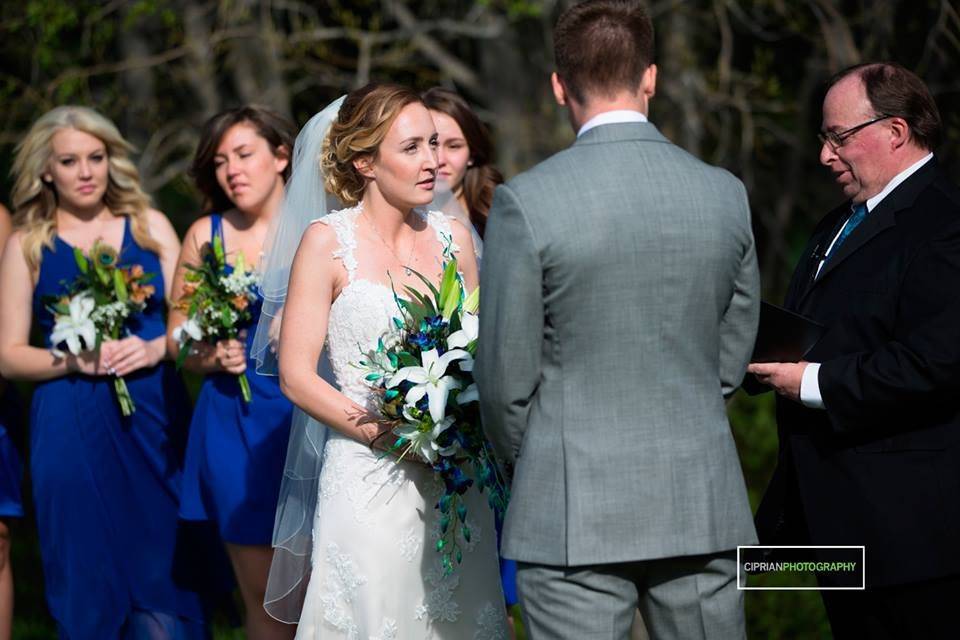 The Bridesmaids look on