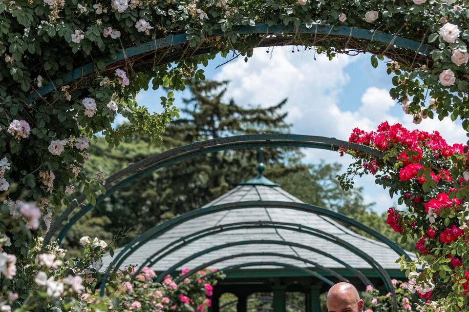 Rose garden in full bloom