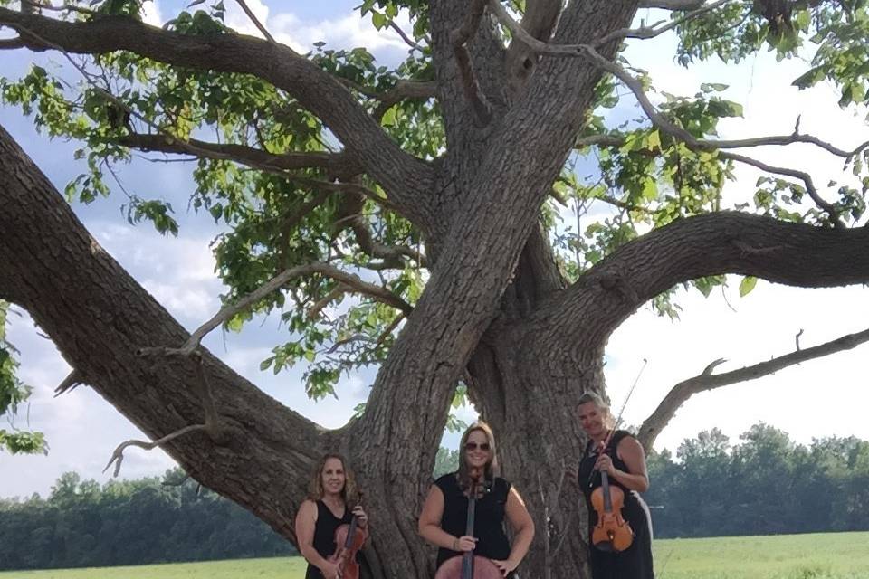 String Trio