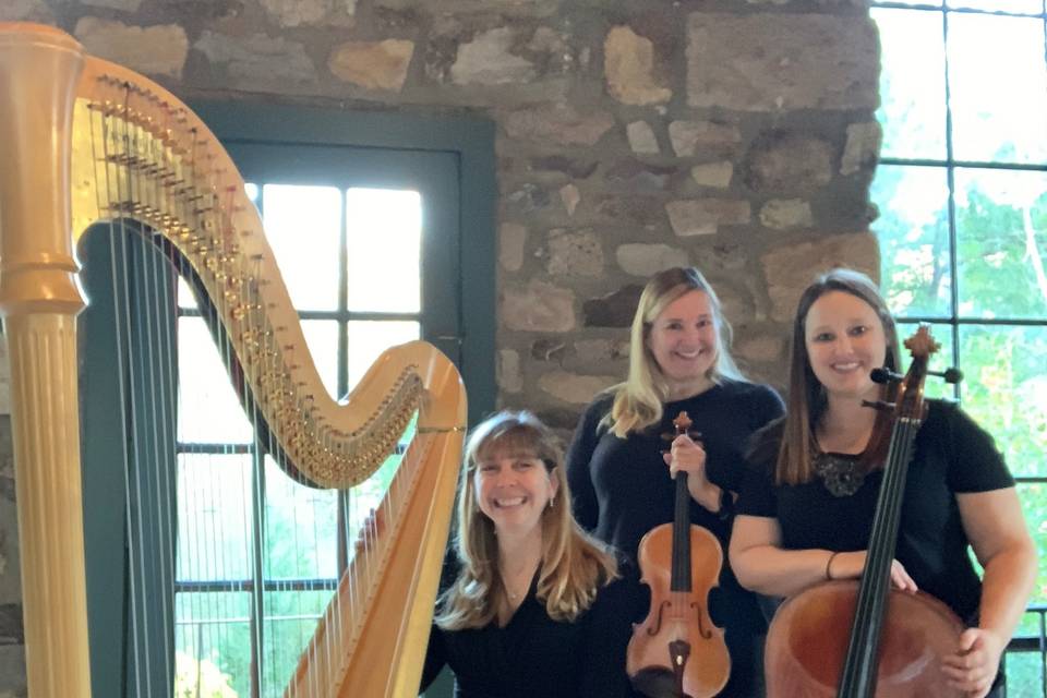 String Duo at Rock Island Lake