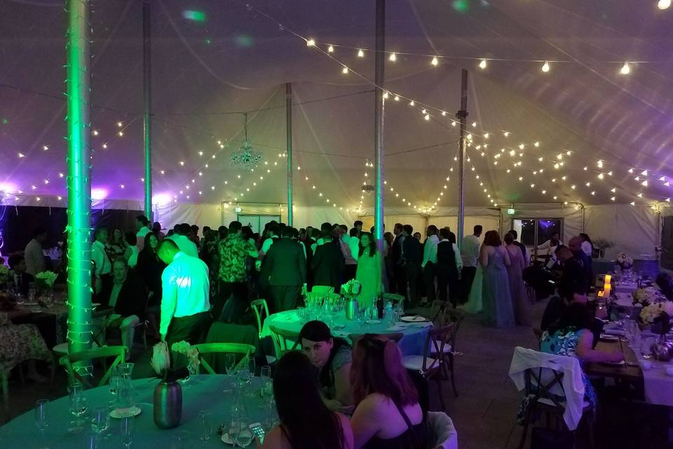 Dancing under the tent