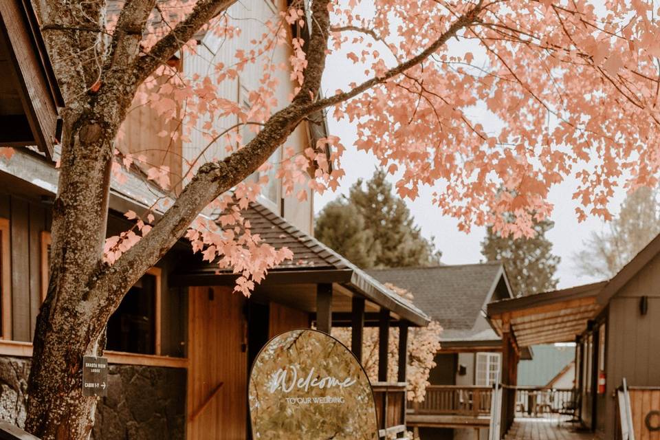 Wedding entrance