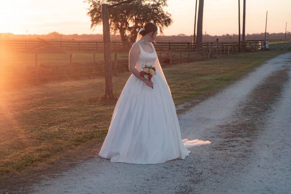 Wedd 6