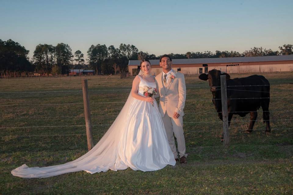 Wedd 8