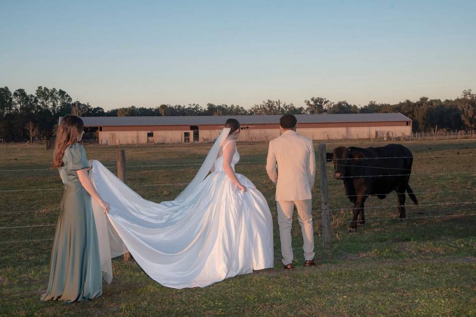 Wedd 2