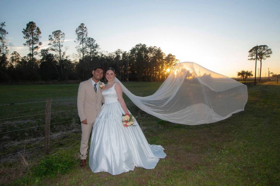 Wedd 3