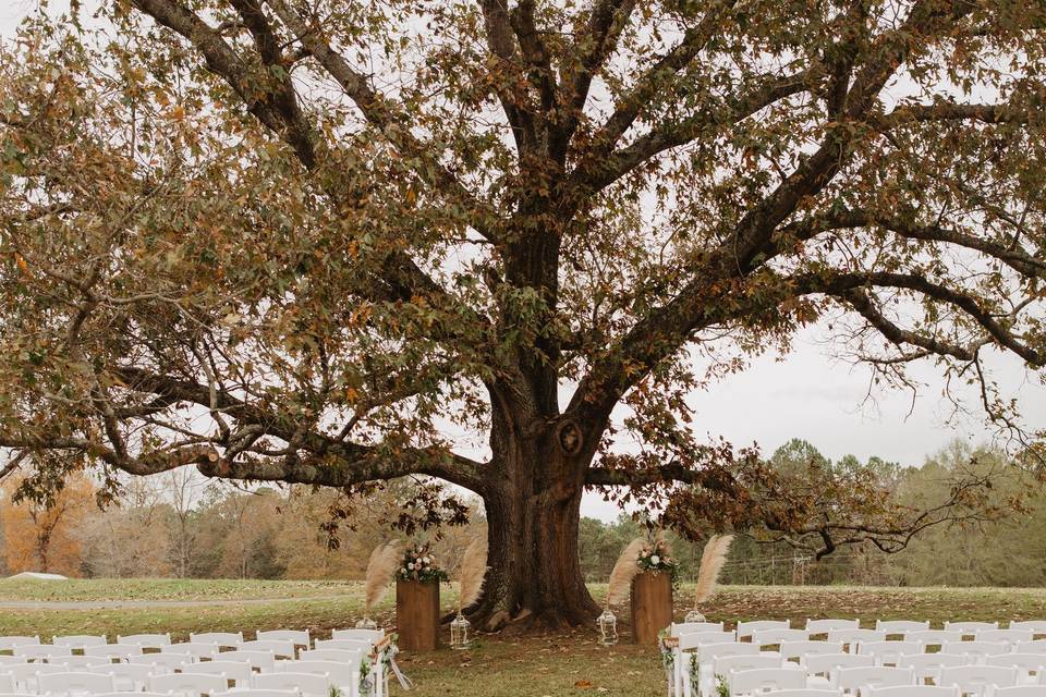 Under the Oak Ceremony Site