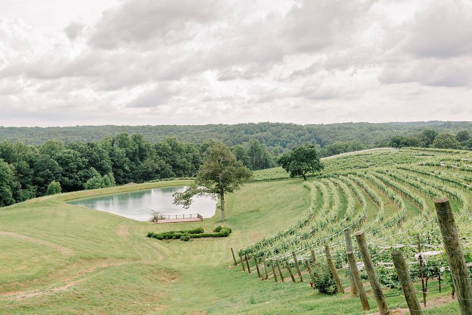 Winery views