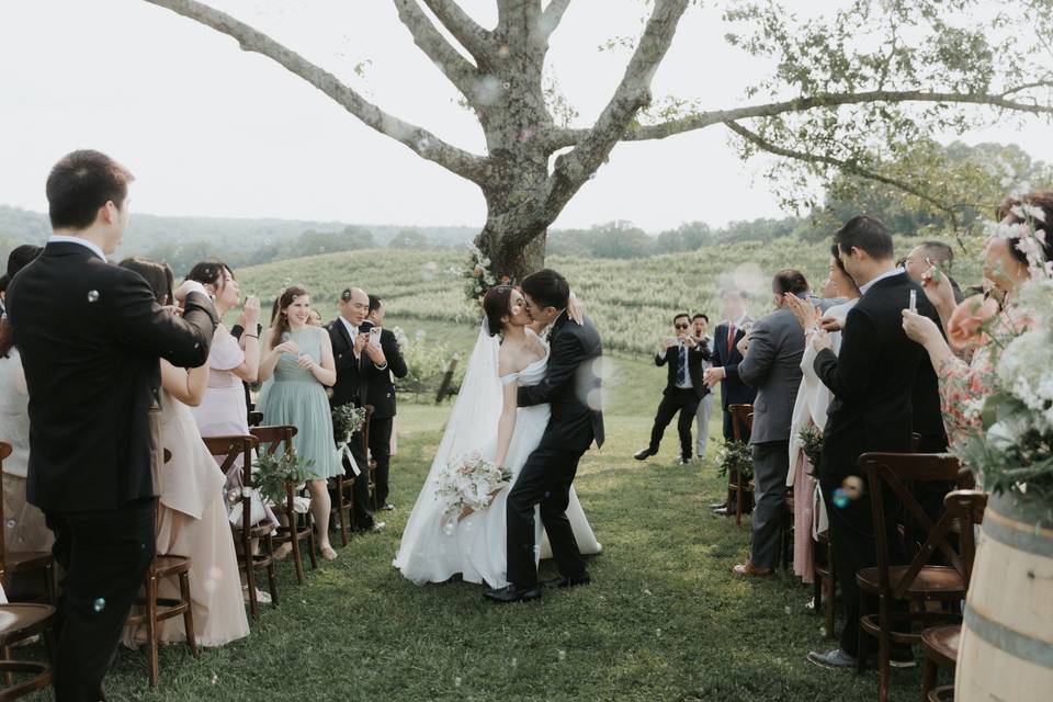 Wine Production Room Ceremony