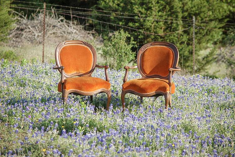 Harwood Chairs