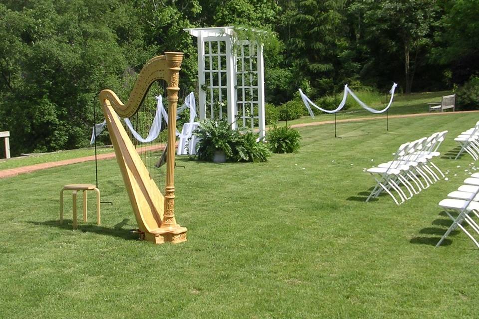 Megan Kabela, Harpist