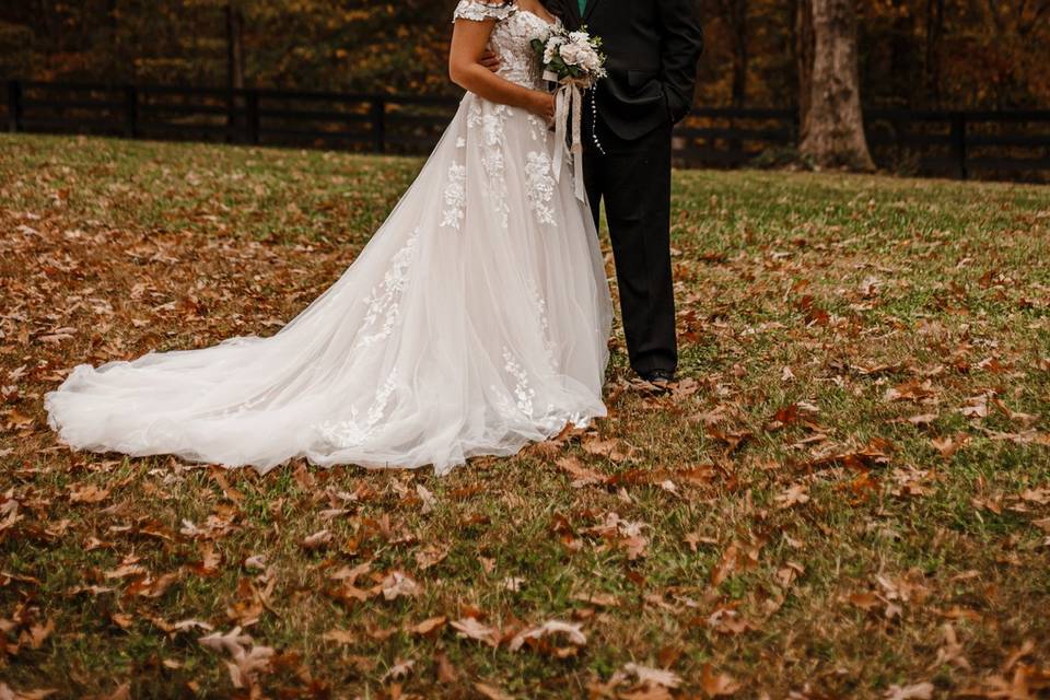 First Looks