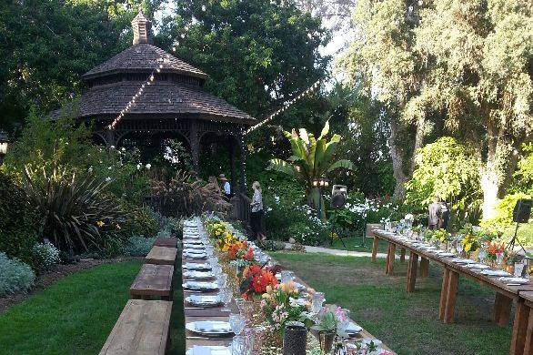 Table set-up