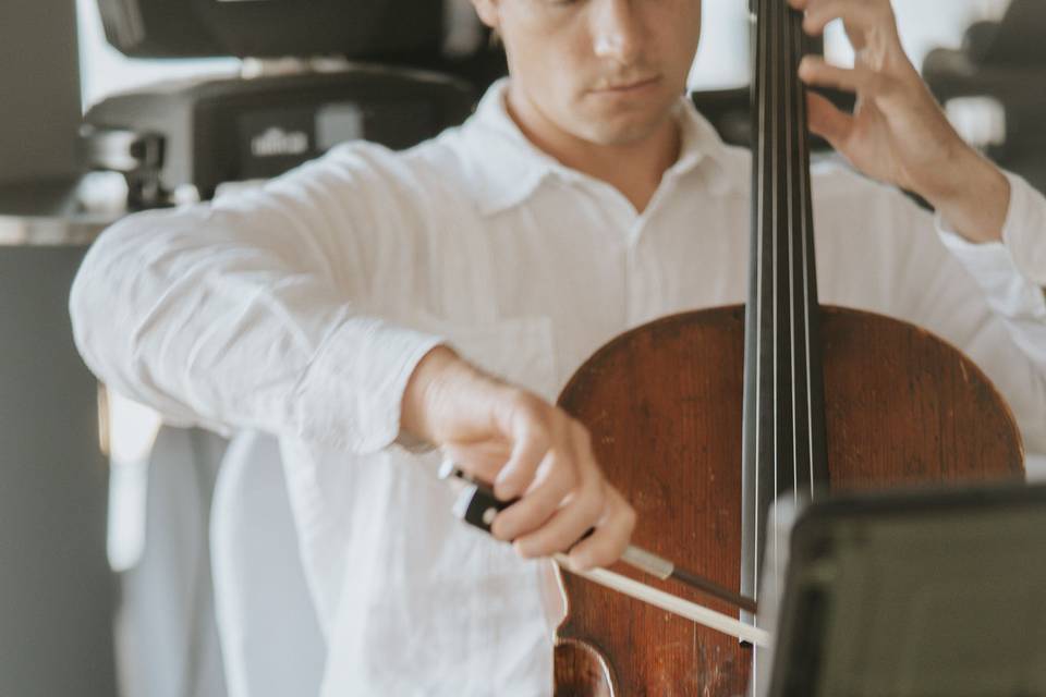 Cello Player