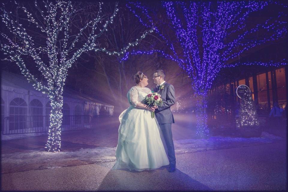 Winter wonderland - Dana Ashley Events